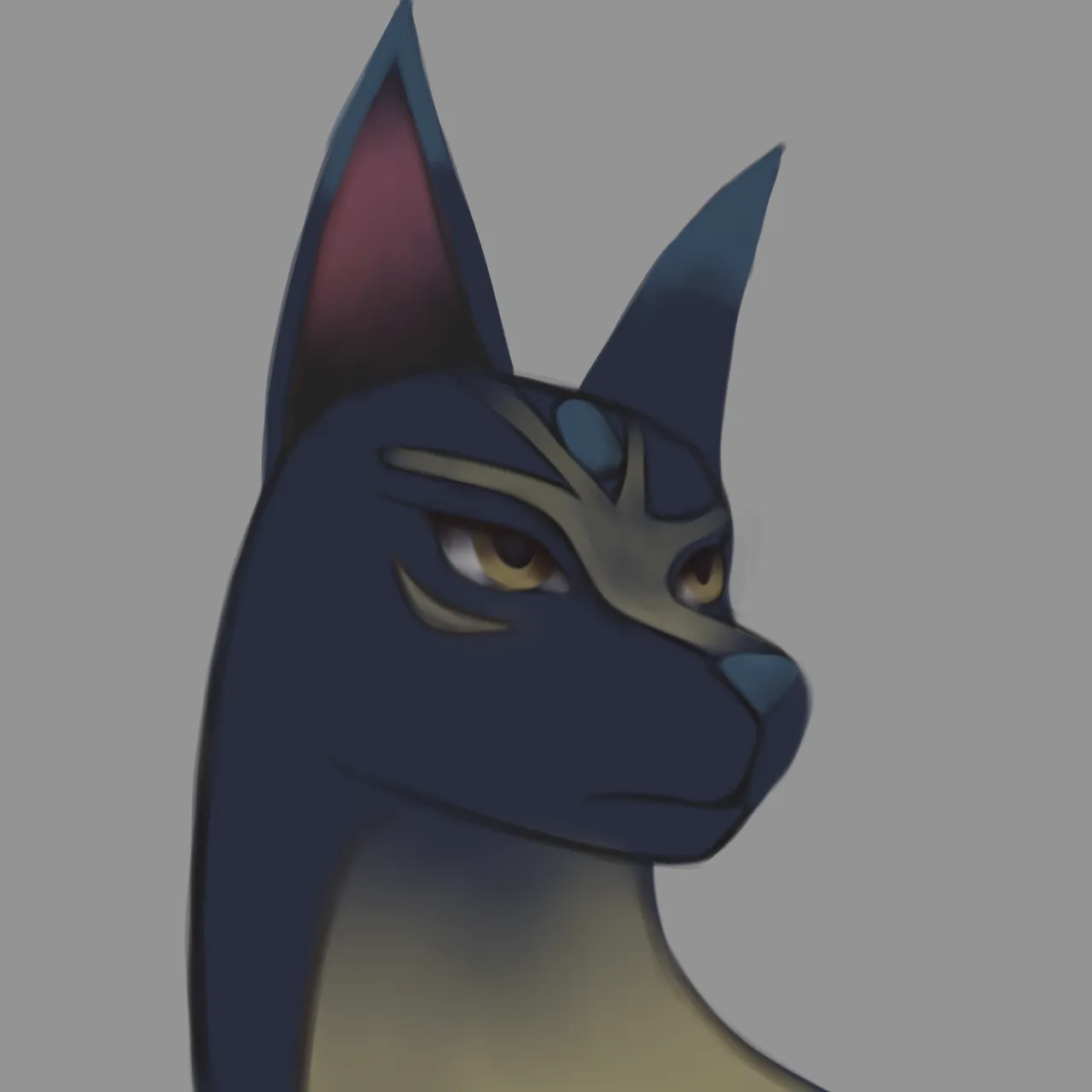 11.png