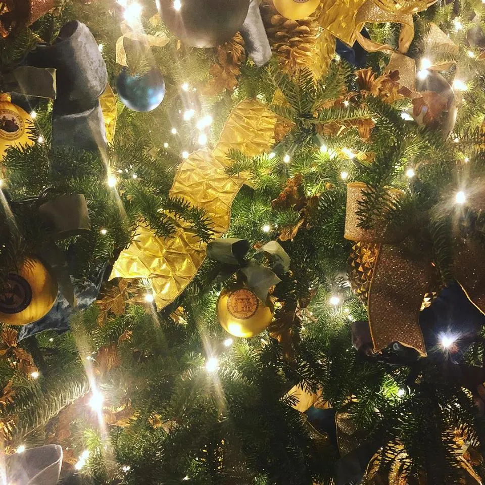 Ga Ornament.jpg