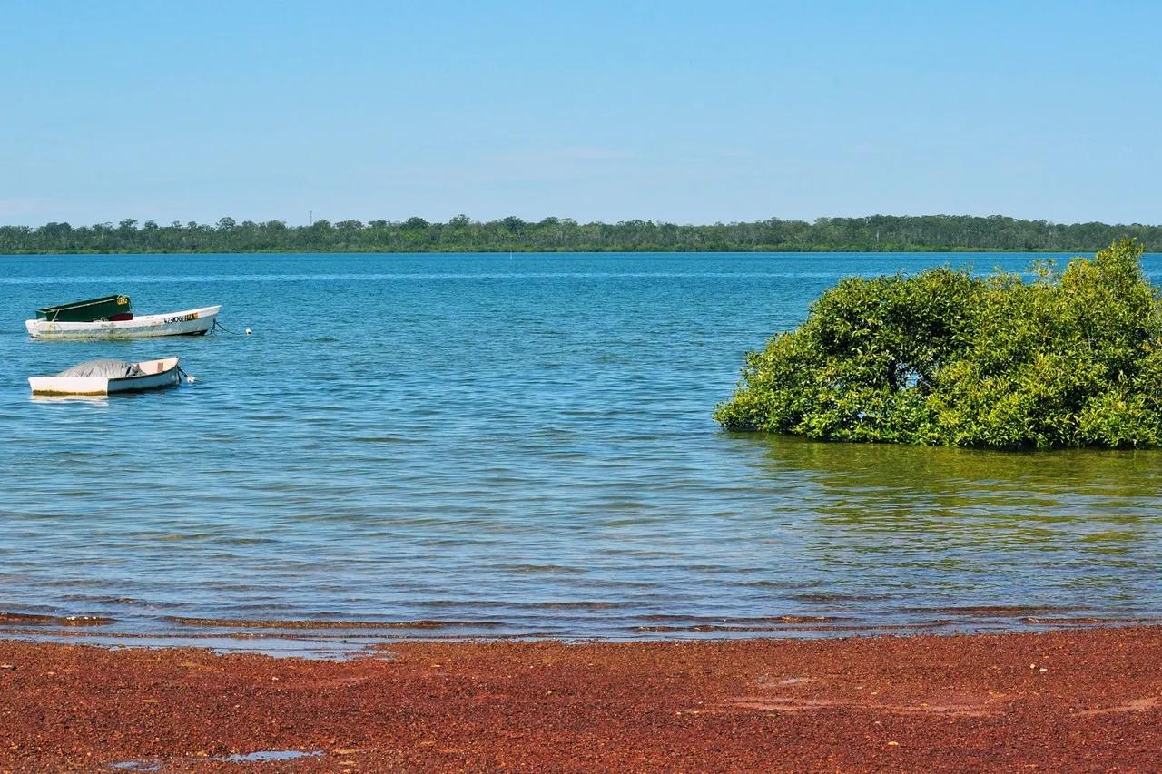 kaelci peakd hive blog boonooroo queensland.jpg