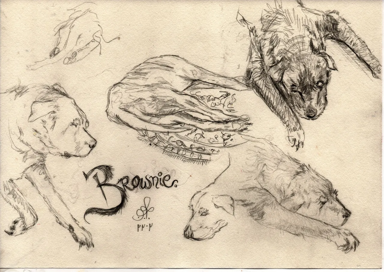 Brownies.png