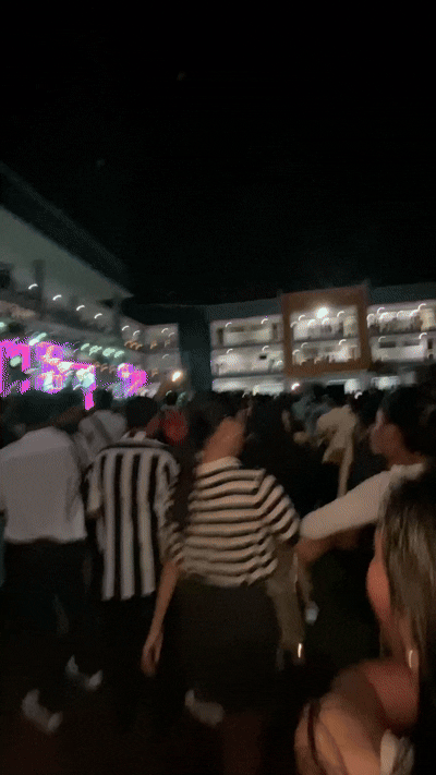 VID_20241019_004403_541.mp4.gif