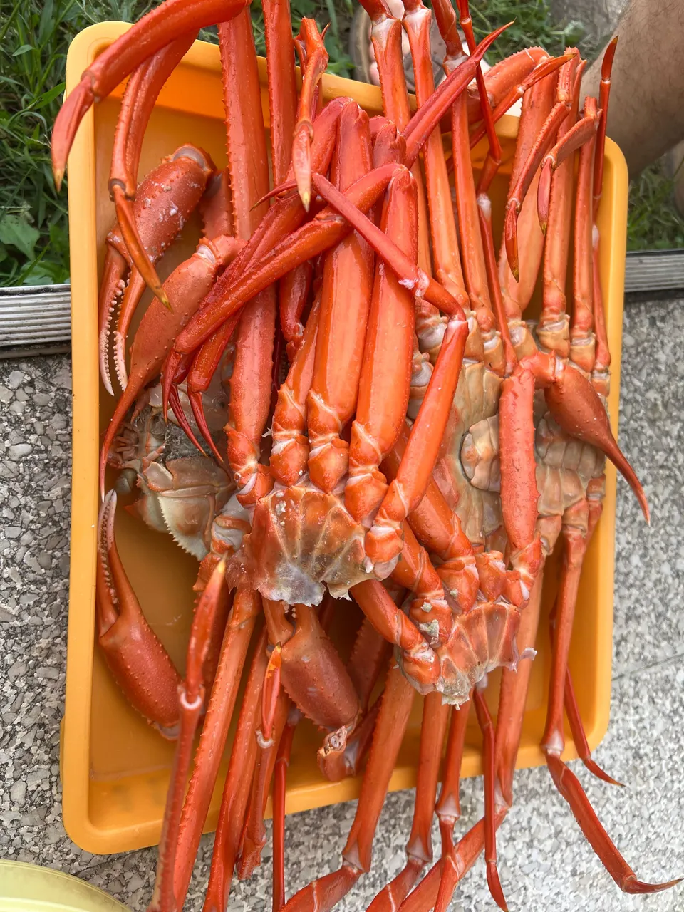 IMG_4361 (1).png