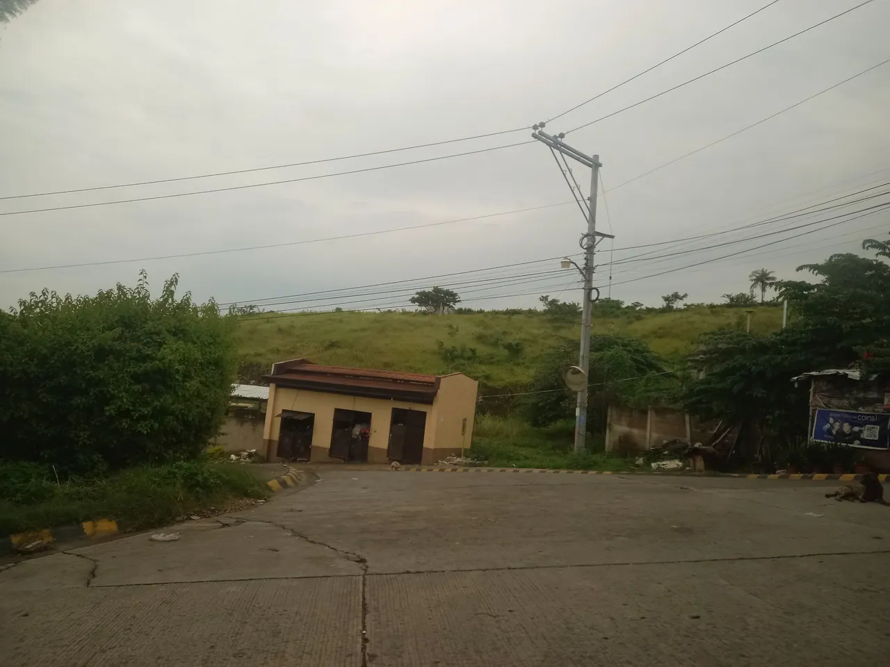 1000023743.jpg
