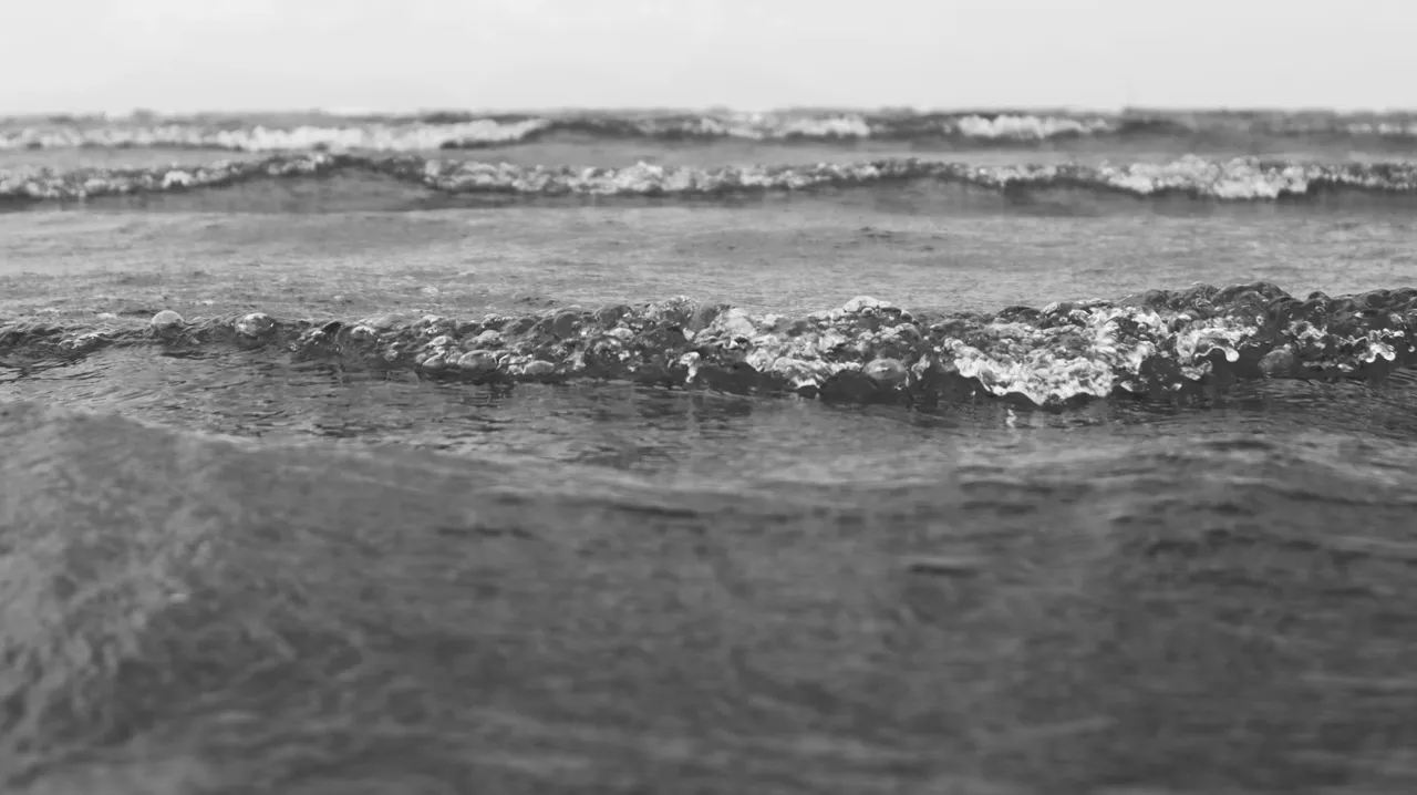 IMG_7499.JPG