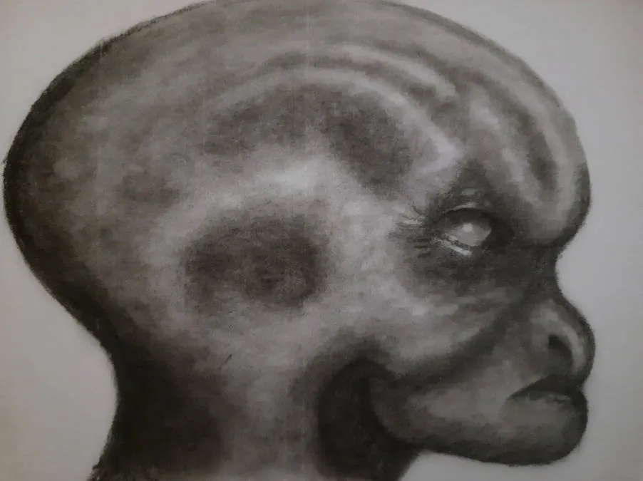 20250630_114214.jpg