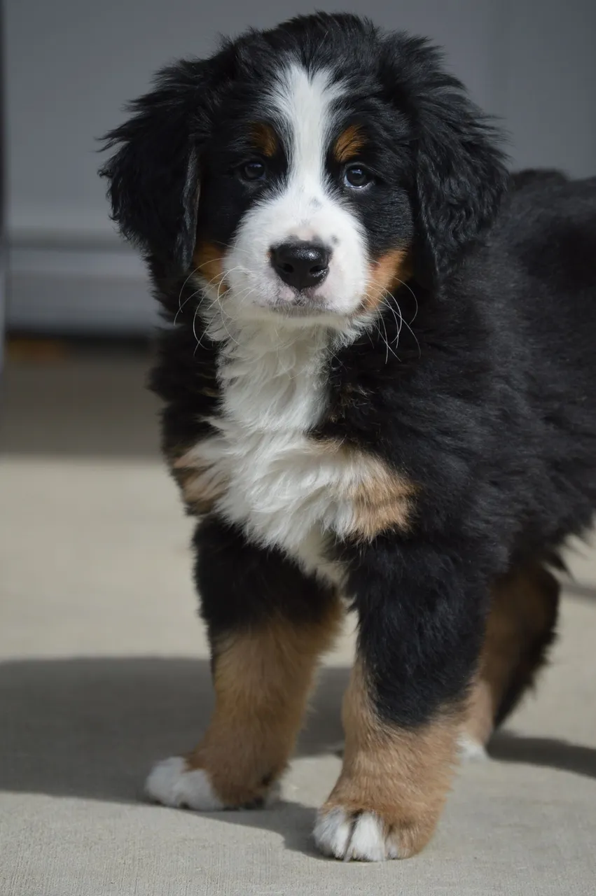 DSC_0725.JPG