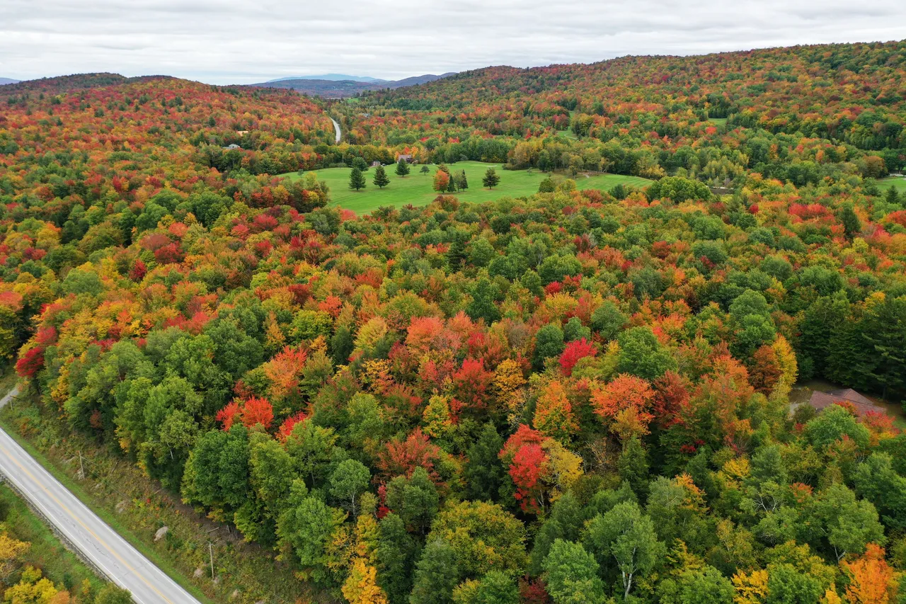 DJI_0257.JPG