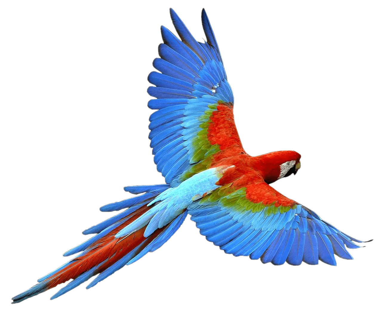 91508276964zwvhajwryfff7iccp8tjfziptae94cwsrf1xcumsljbkqbsjrkcgz4czxxrk3bc2x4xipeusplfpl8bbs9oefbkb1bmjw5uhotbg.png