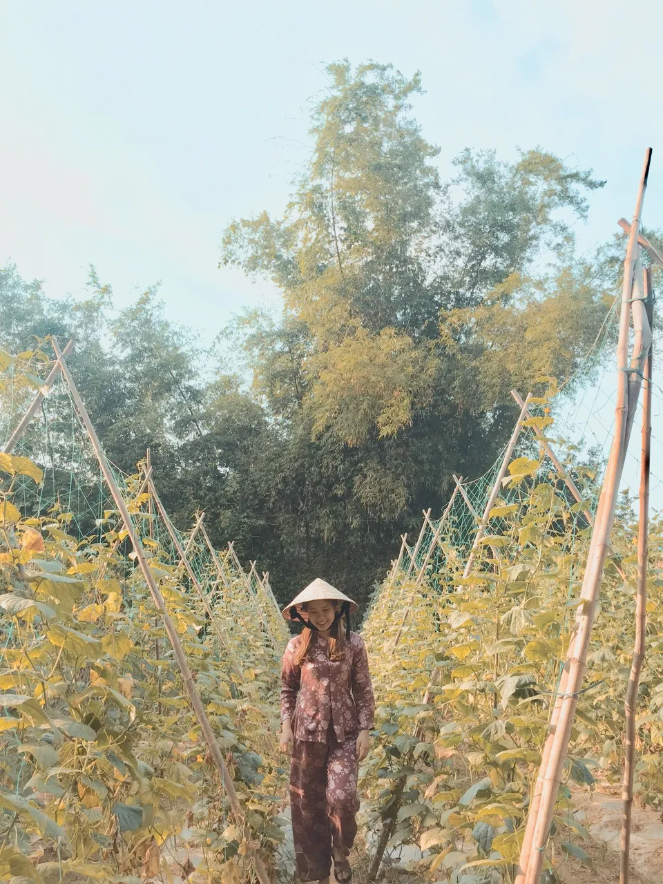 A small farm of my grandmother in the rural village