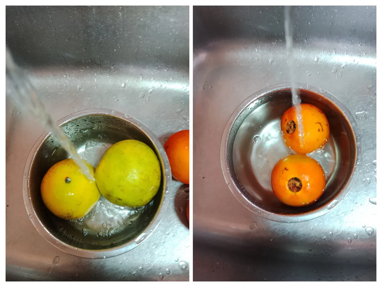 IMG_20250813_124343-COLLAGE.jpg