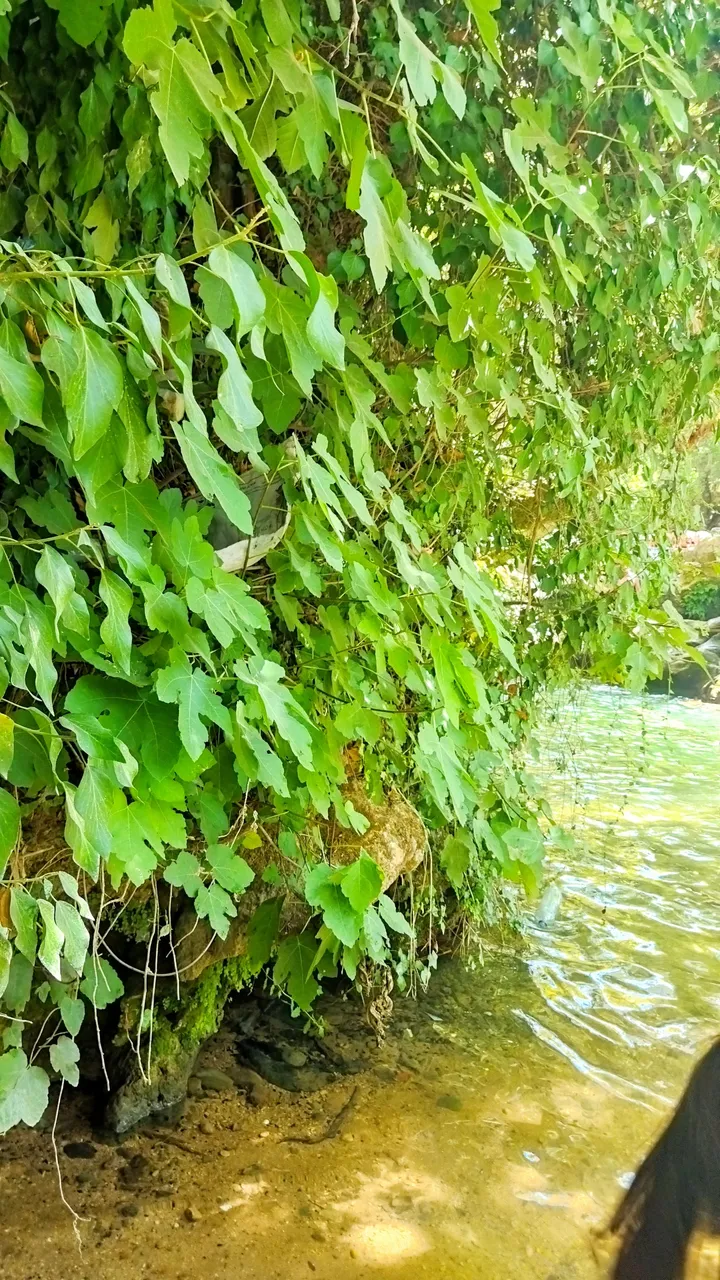 IMG_20220826_135713.jpg