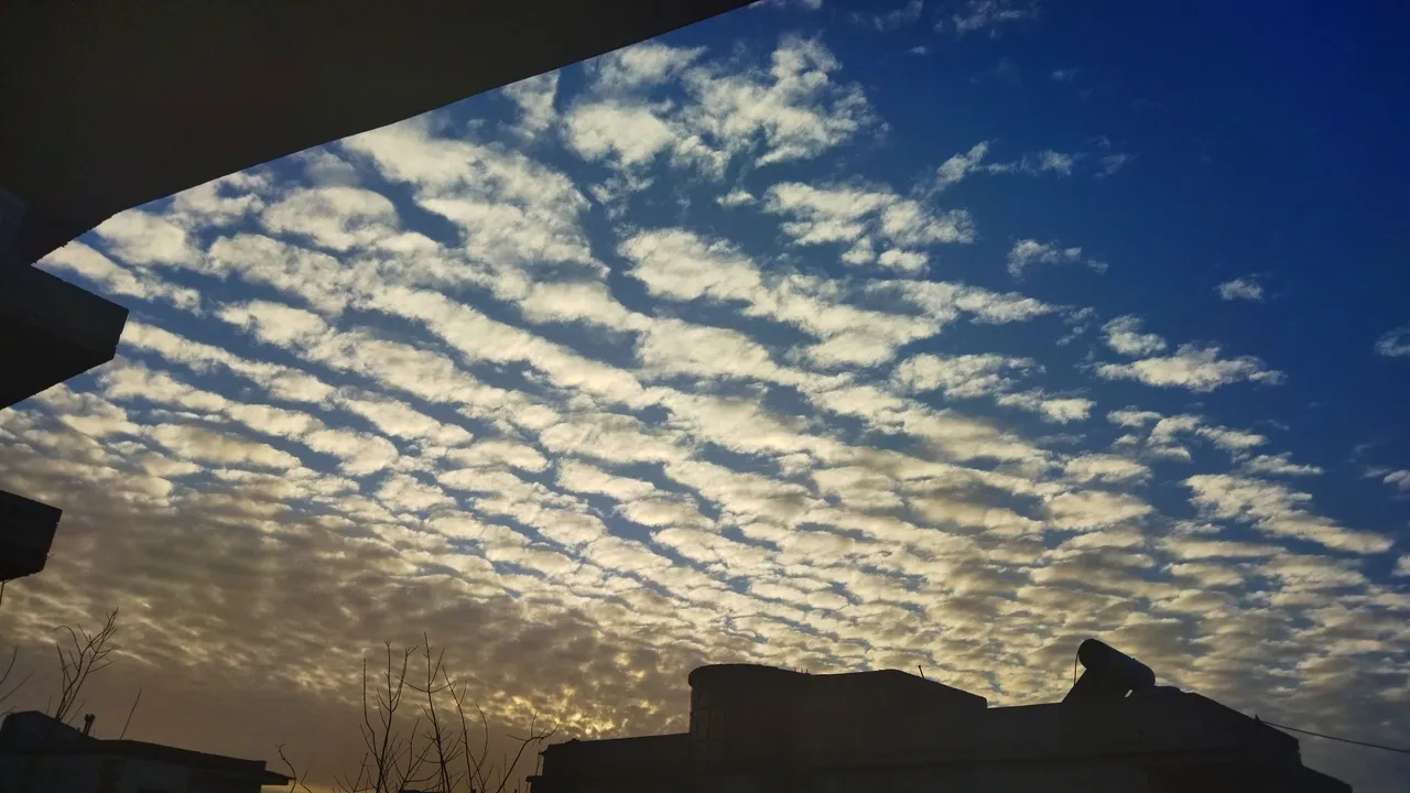 B612_20220822_091652_142.jpg