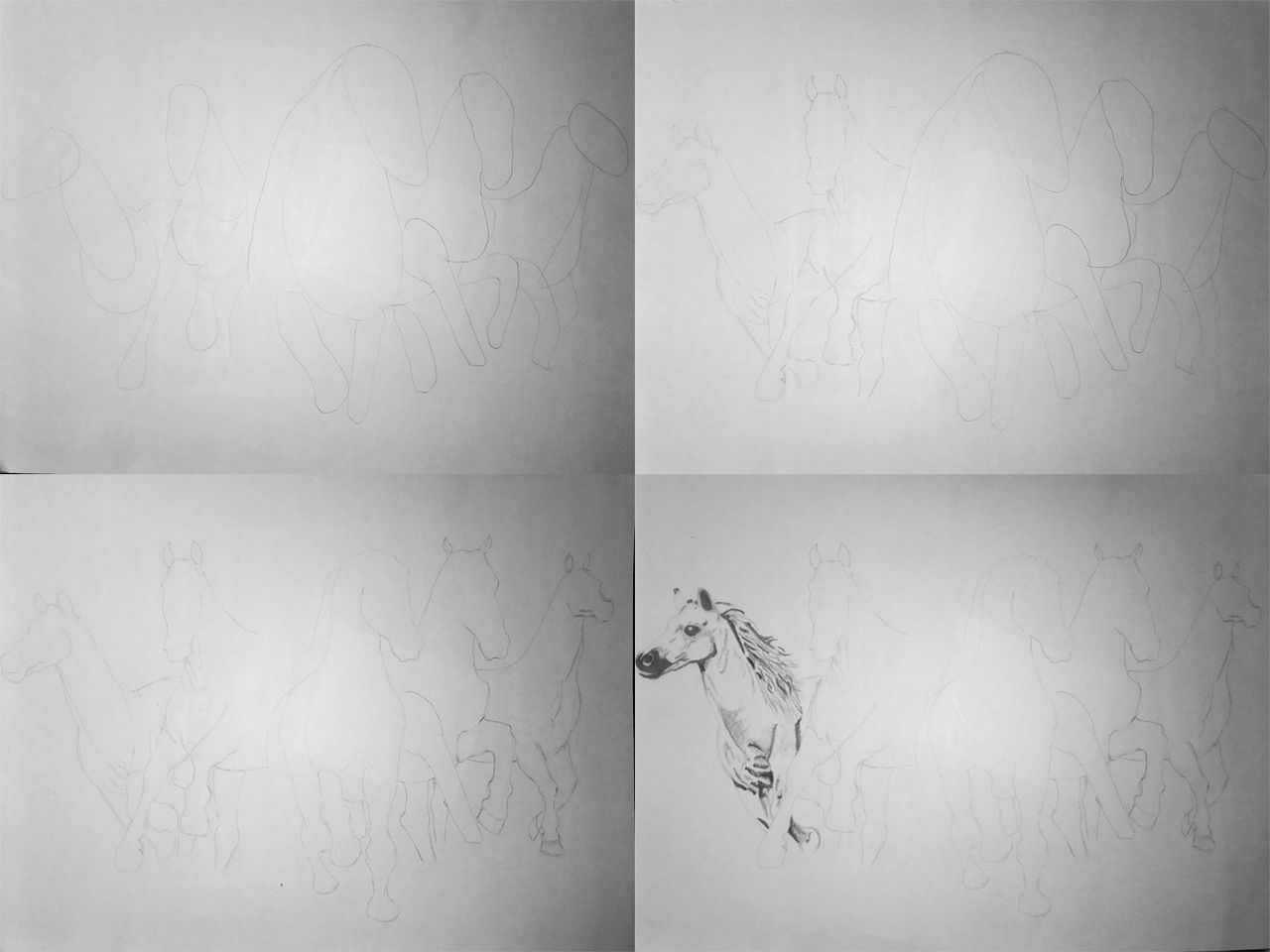165_Hand_Pencil_Drawing_Horses_15062020_secuencia1.jpg
