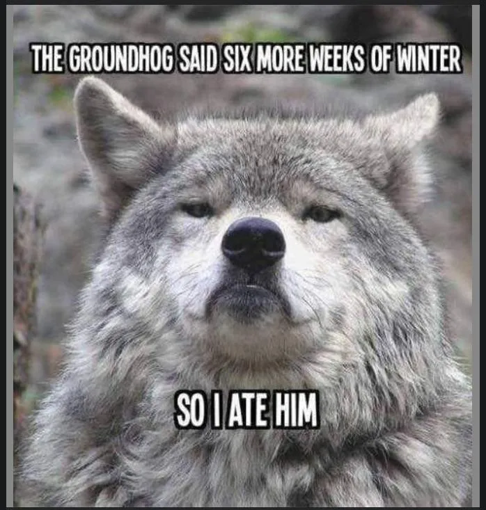 Groundhog-NjZtvbu.jpg