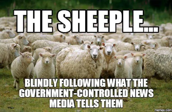 The Sheeple-FB_IMG_1486730433622.jpg