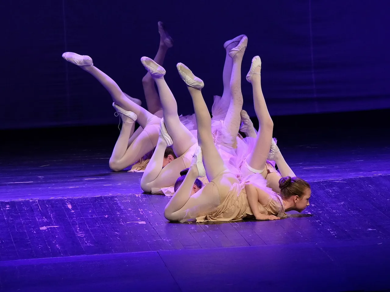 DSCF9389_cr-Angel-hive.jpg