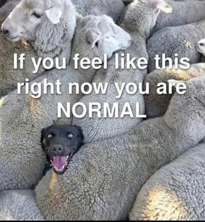 Normal-eddbec2b788c534790217f4f8f67b049-original.jpg