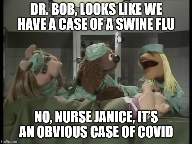 Slucaj svinjsog gripa.jpg