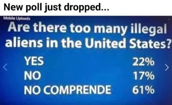 No comprende-3b442784e9efb08d2bc2258548db99aa-original.jpg