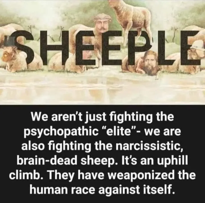 Sheeple-R5QOnl3.jpg