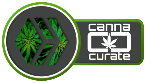 cannacurateHIVE.png