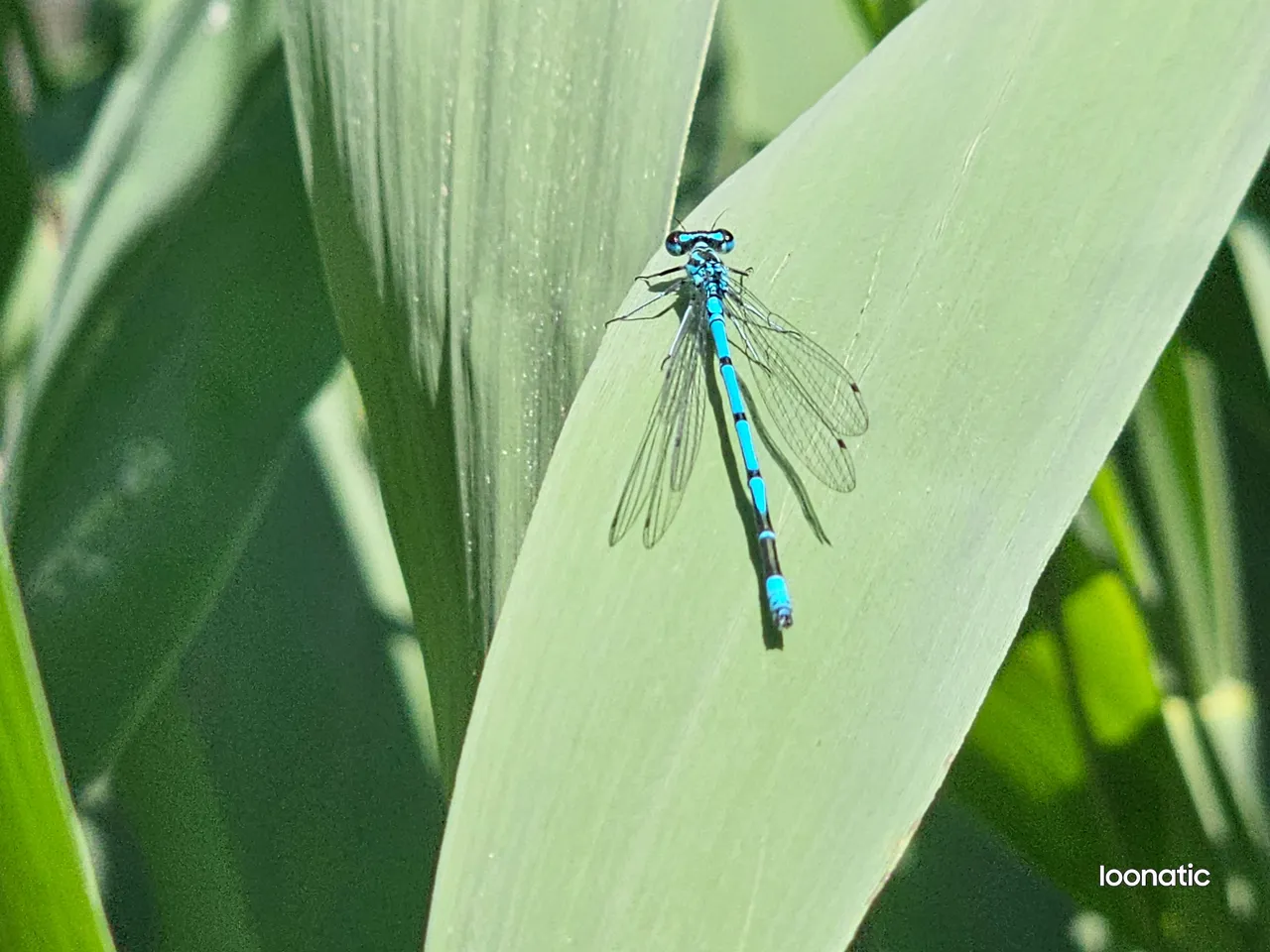 20230615_141400.jpg