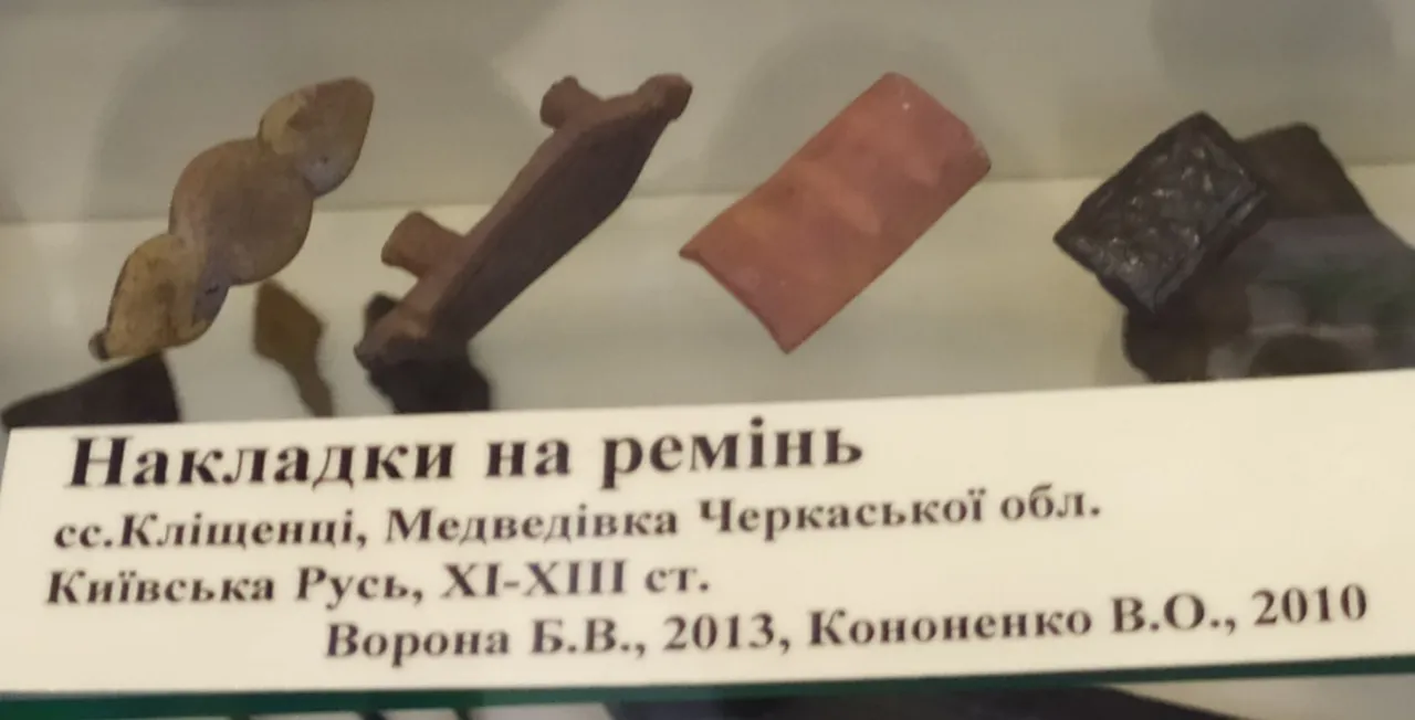 IMG_20231008_140042.jpg