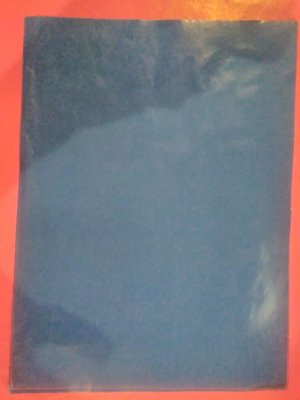 IMG_20210815_181320.jpg
