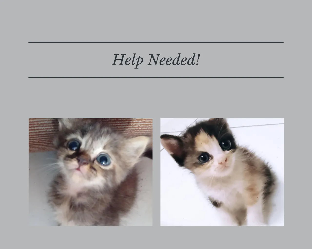 ContentThumbnail(11).png