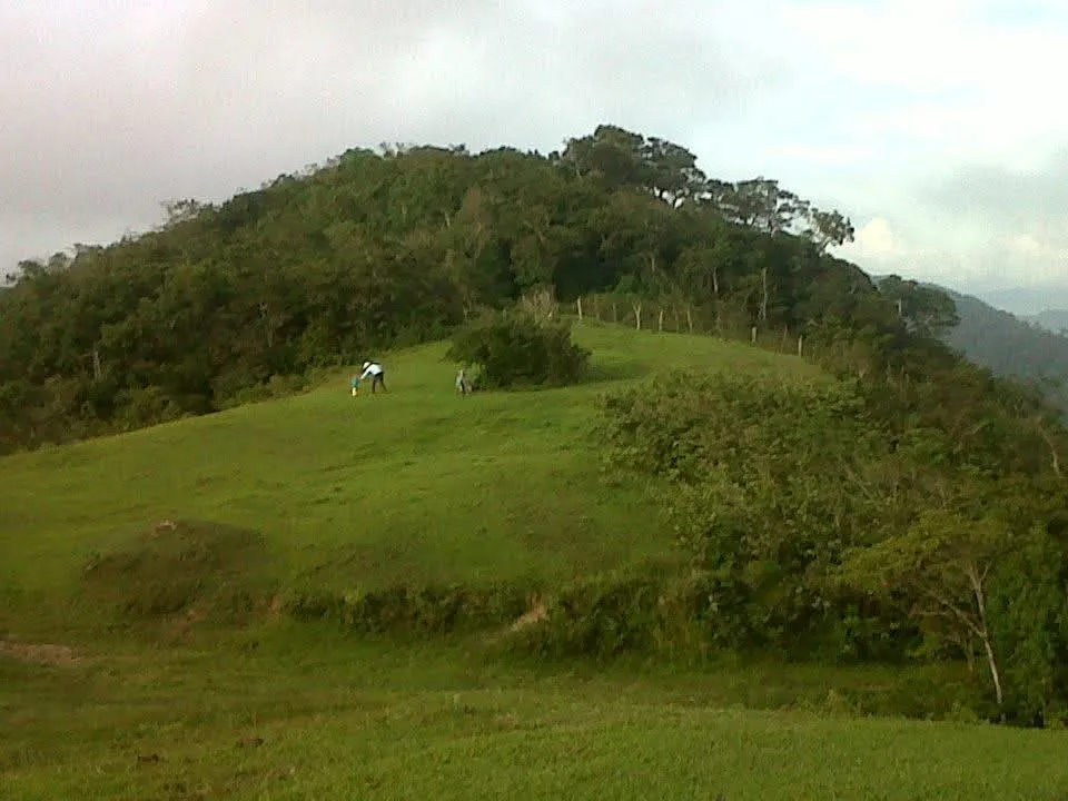 IMG-20250622-WA0027.jpg