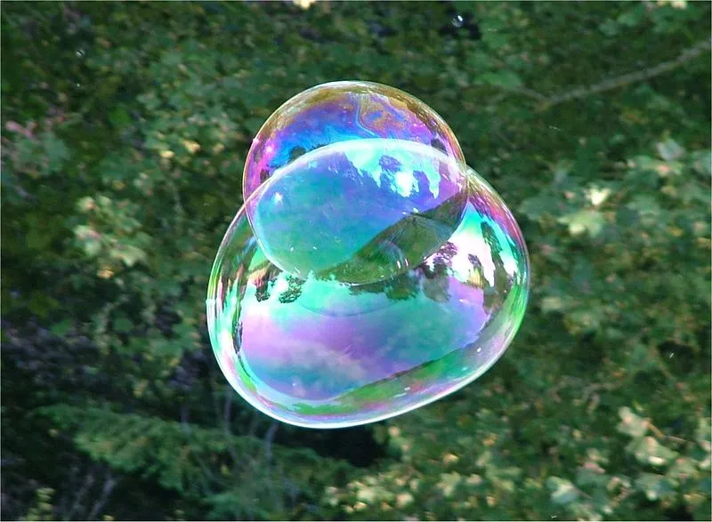 800px-Soap_Bubble_-_foliage_background_-_iridescent_colours_-_Traquair_040801.jpg