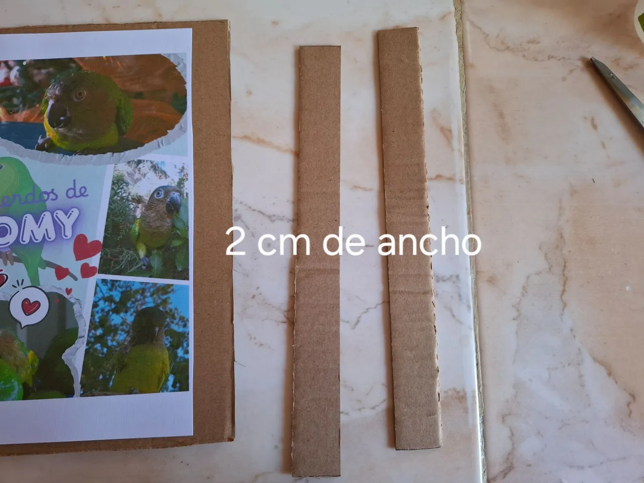 1000516193.jpg