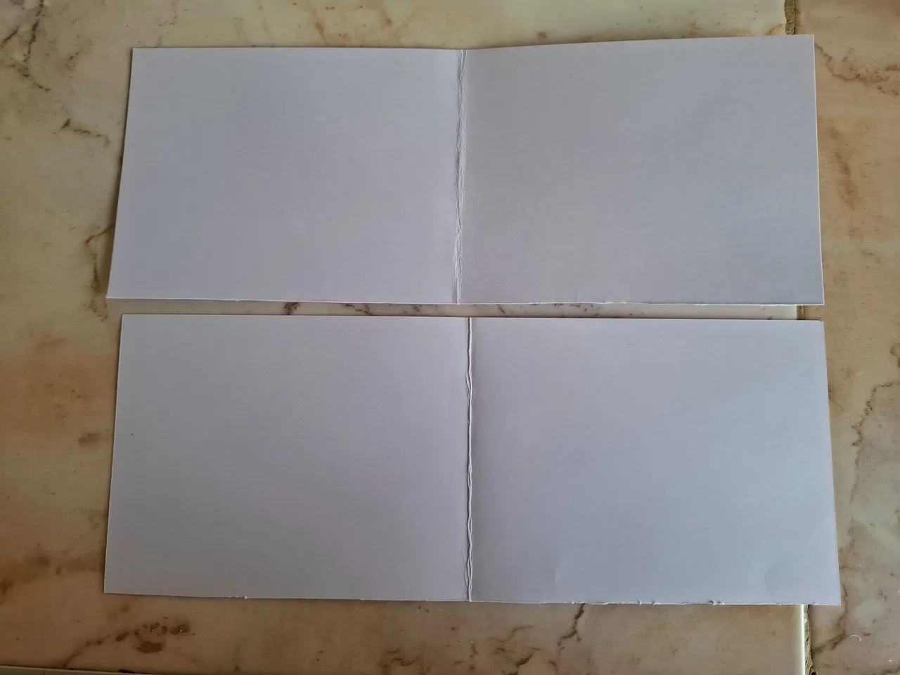 1000593666.jpg