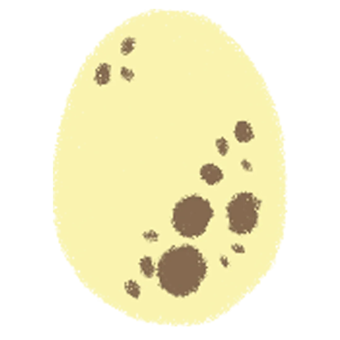 d5.png