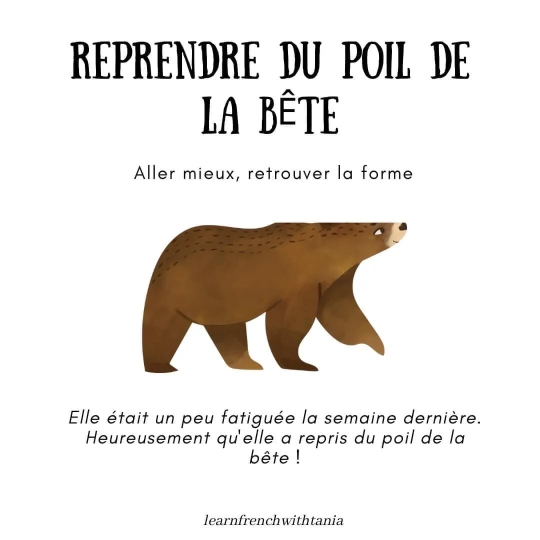 reprendredupoildelabete.jpg