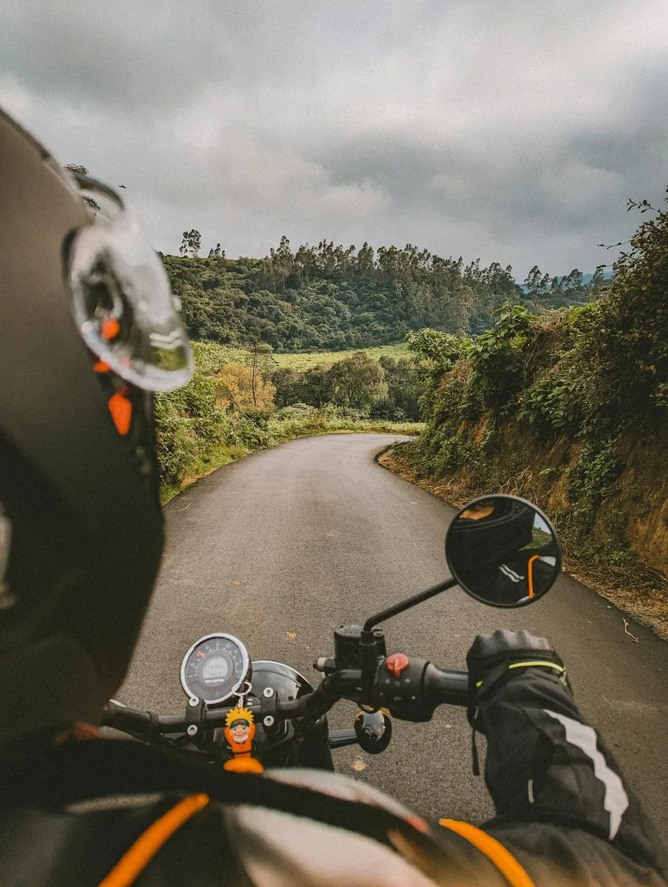pexels-karthik-u-561761-14598565.jpg