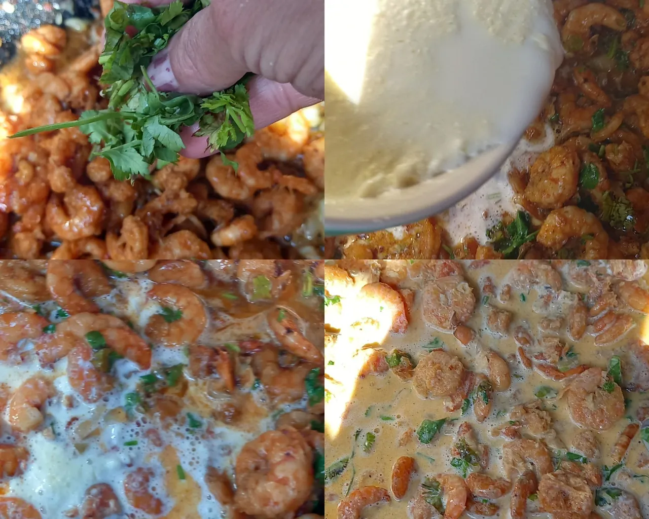 Live Collage_20244511268516.jpg
