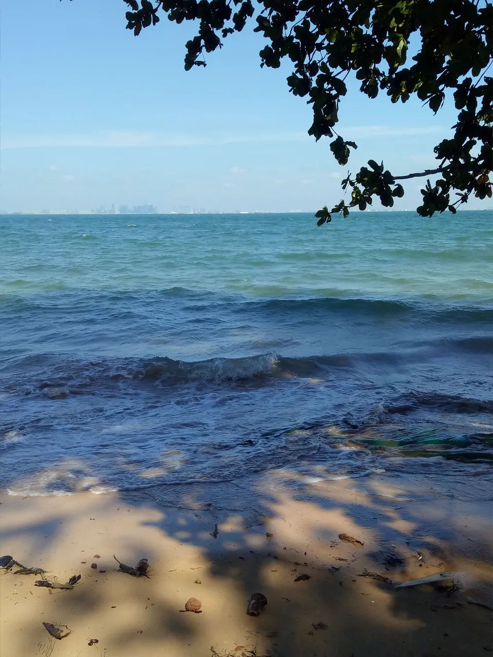 IMG20191227095605.jpg