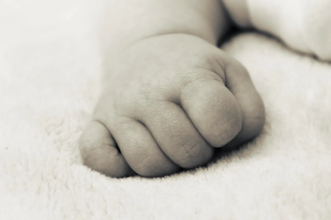 hand-1652159_1920.jpg