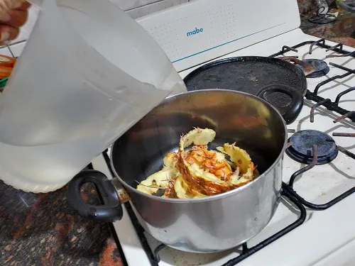 aguadepiña5.png
