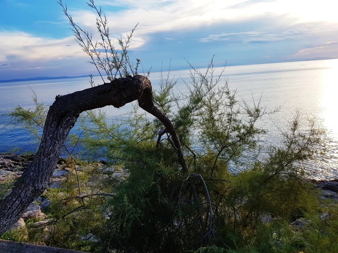 20180726_195624.jpg