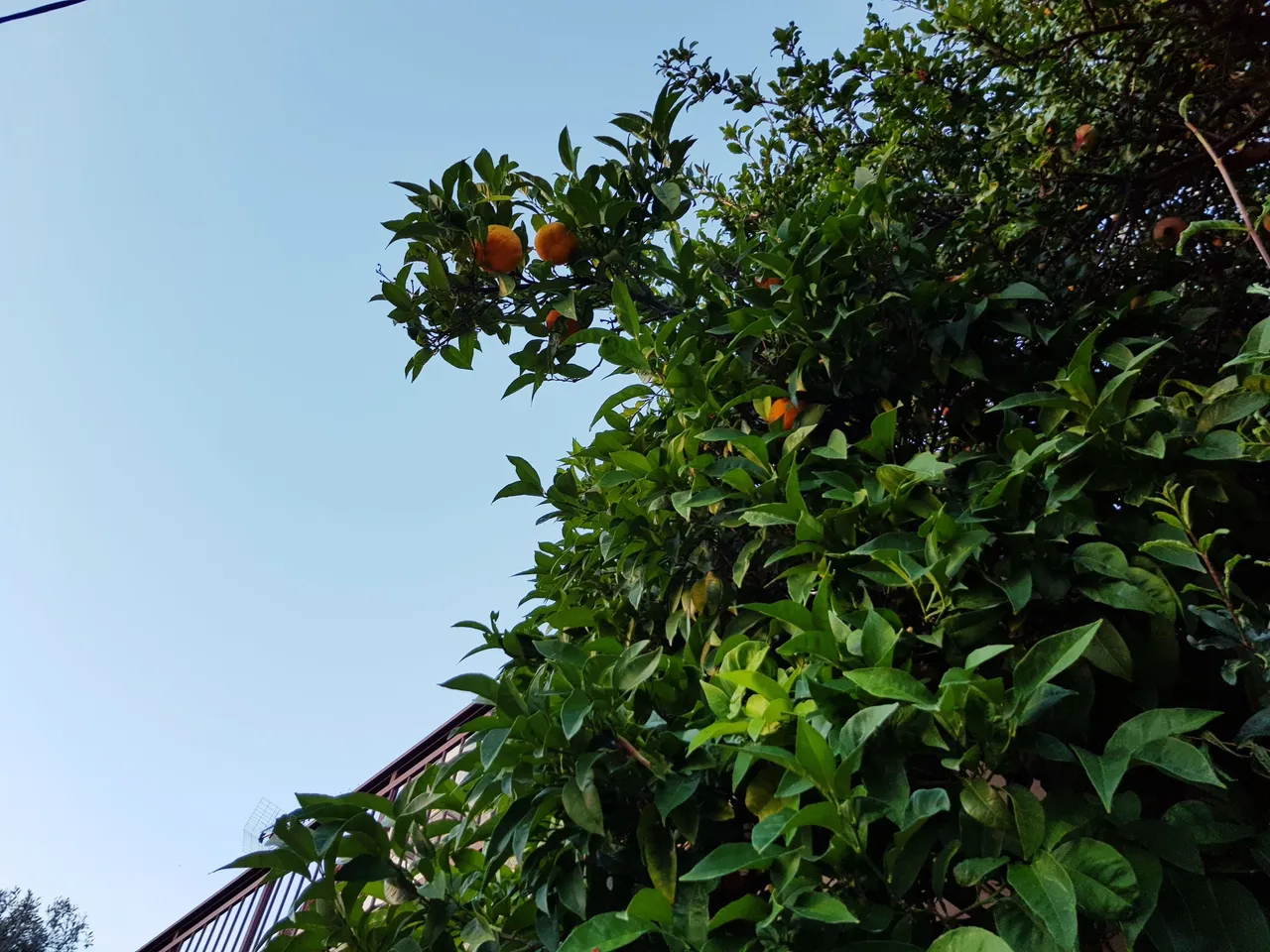 20180726_201124.jpg