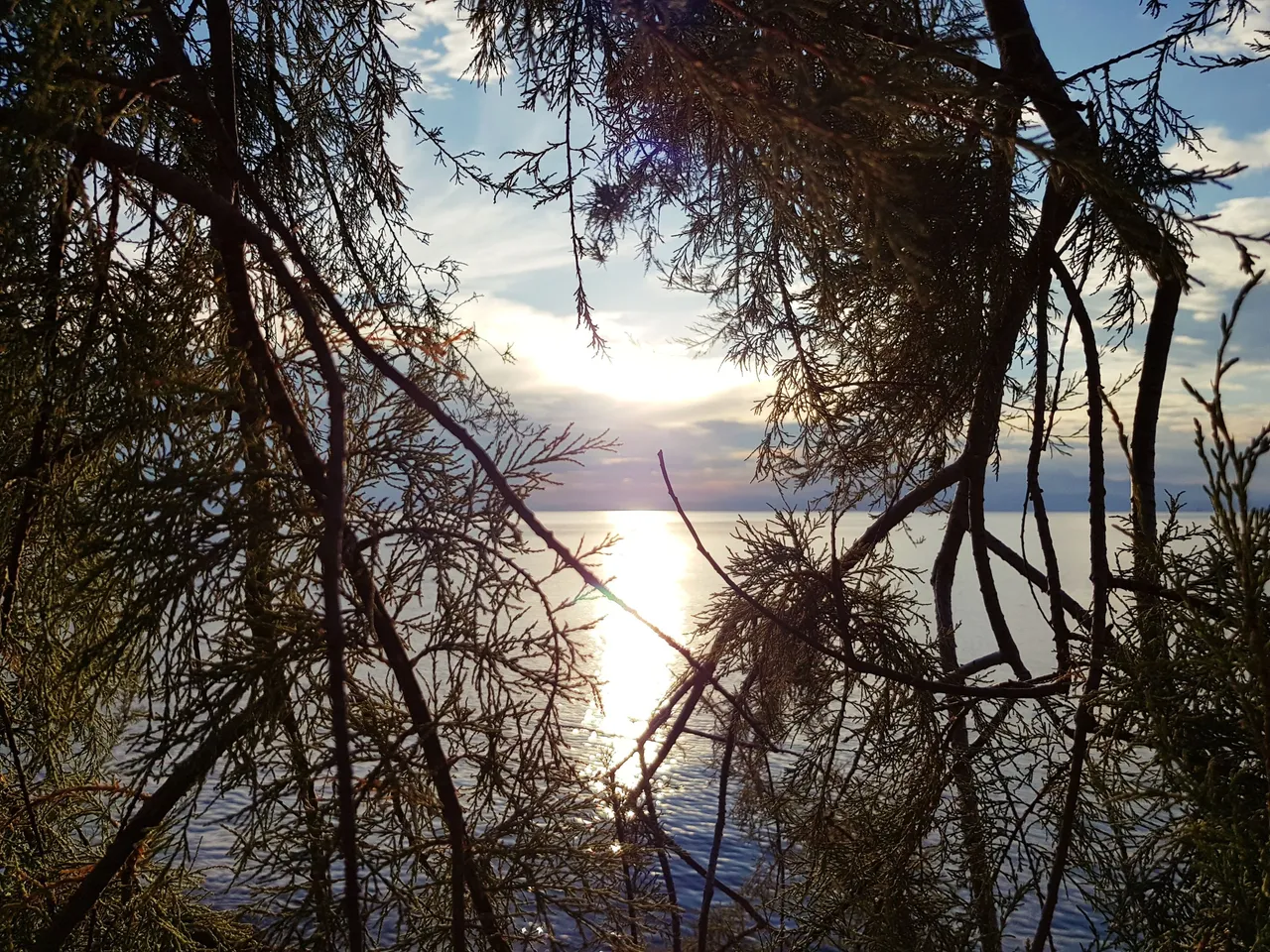 20180726_195437.jpg