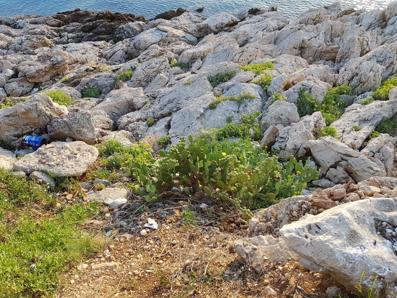 20180726_195636.jpg
