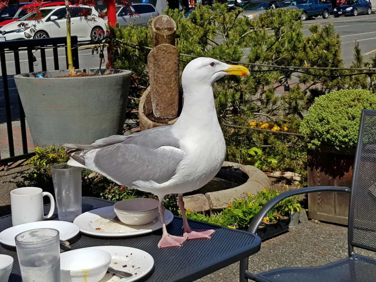 20180512_114402.jpg