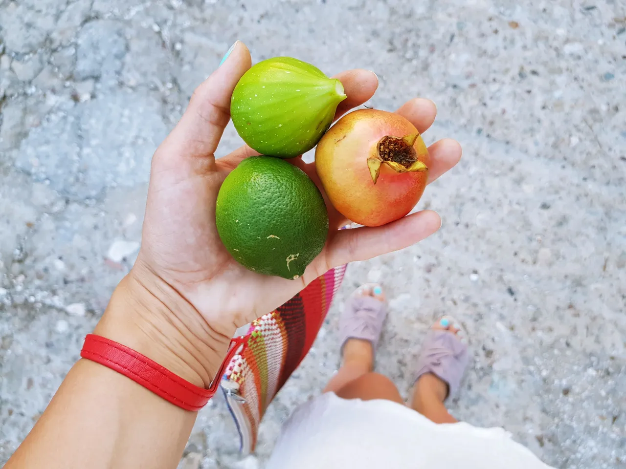 20180726_201231.jpg