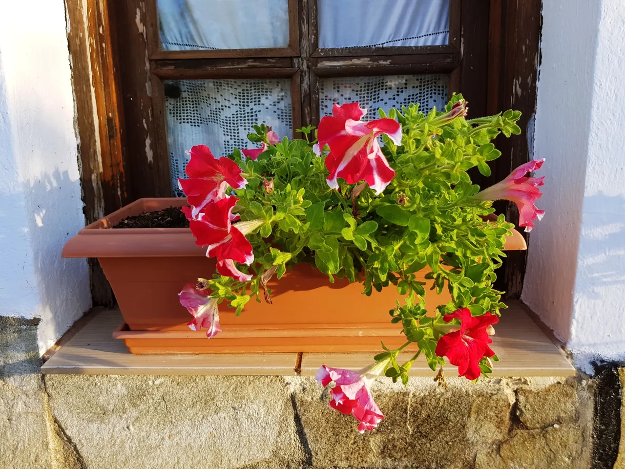 20180726_195243.jpg