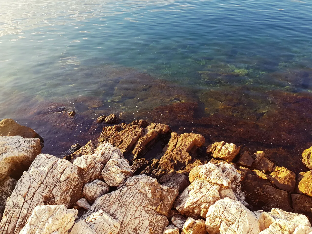 20180726_195105.jpg