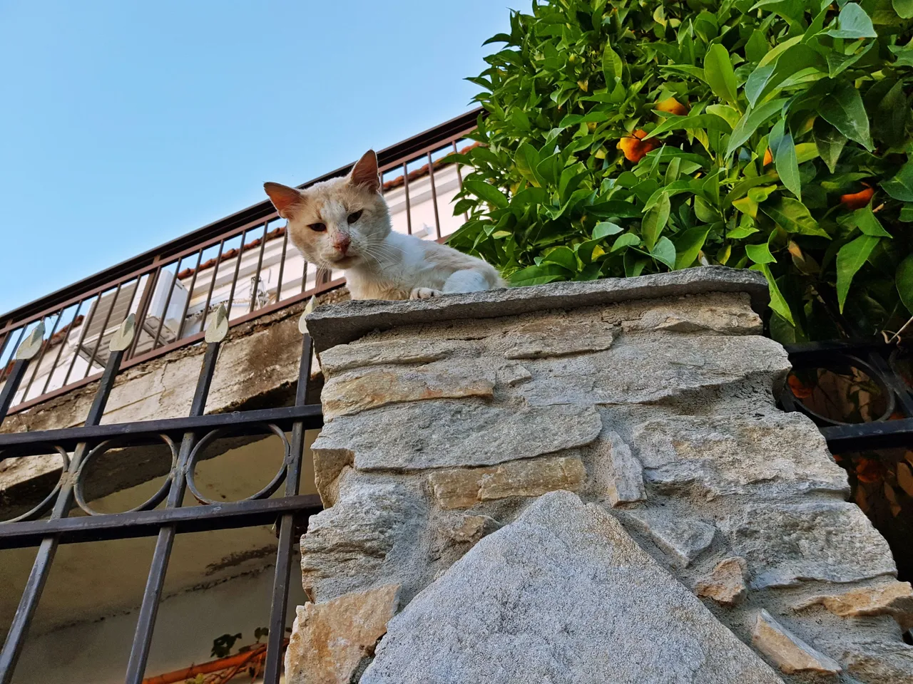 20180726_201117.jpg