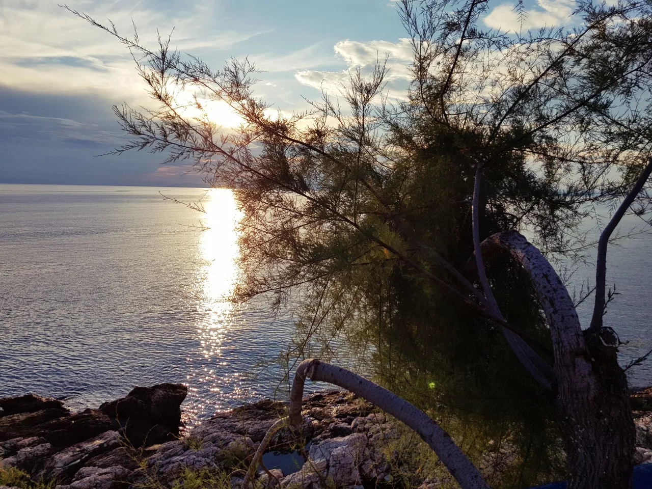 20180726_195505.jpg